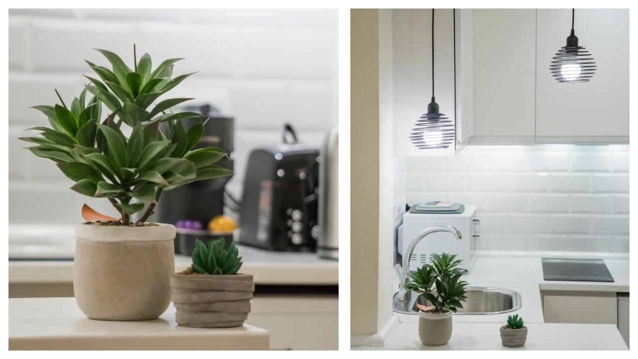 Apartamento Comercio 37 By Toledo Ap Zewnętrze zdjęcie
